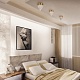 накладной светильник loft it solar 10184