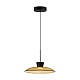 подвесной светильник odeon light saucer 5055/9la