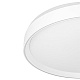 потолочный светильник citilux boss cl751450g