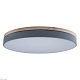 потолочный светодиодный светильник loft it axel 10001/36 grey