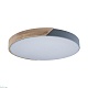 потолочный светодиодный светильник loft it axel 10004/36 grey